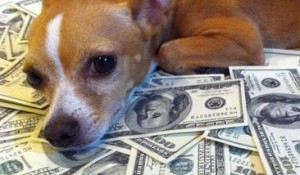 Богатая итальянка завещала собаке 2 миллиона евро 