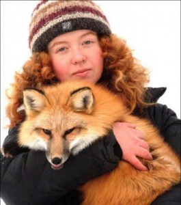 Новосибирская девушка занимается дрессировкой лисиц