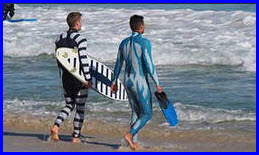 Учёные создали гидрокостюмы для дайверов и сёрфингистов, защищающие от нападения акул.