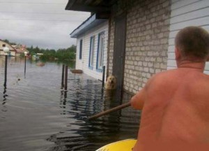 Пёс Дружок даже во время наводнения остался верен родному дому