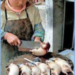 В Китае вместо говядины и баранины сбывают мясо лисиц и крыс.