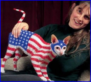 Экстравагантное увлечение американцев: раскрашивание кошек во все цвета радуги. Фото. Видео